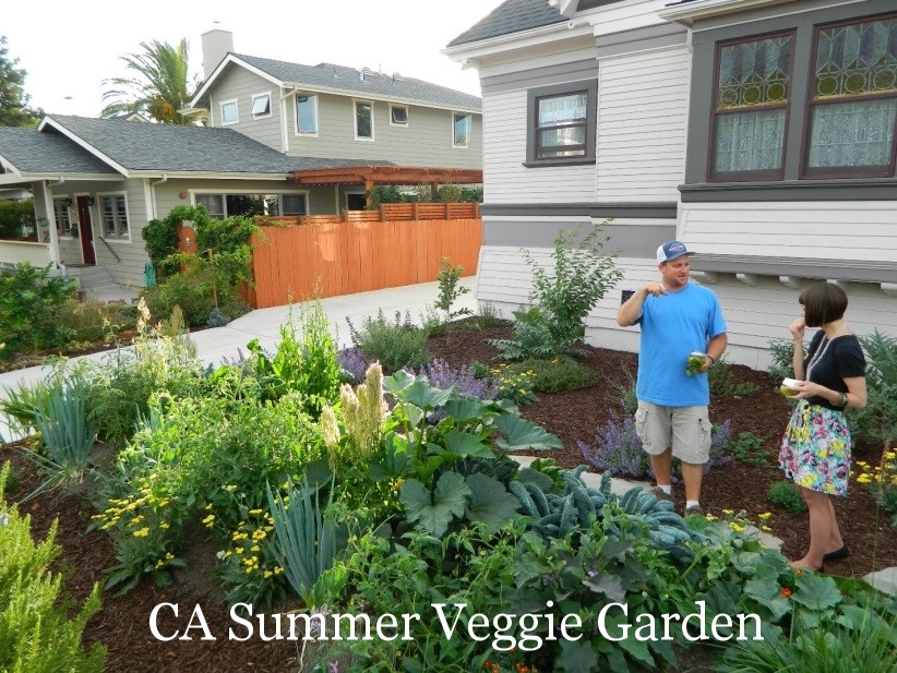 CA Summer Veggie Garden