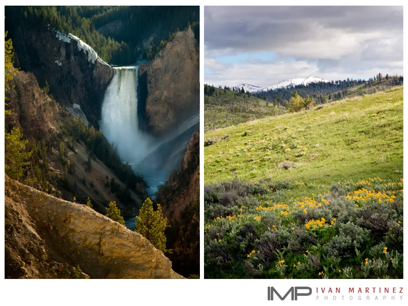 yellowstone_2011_3.jpg