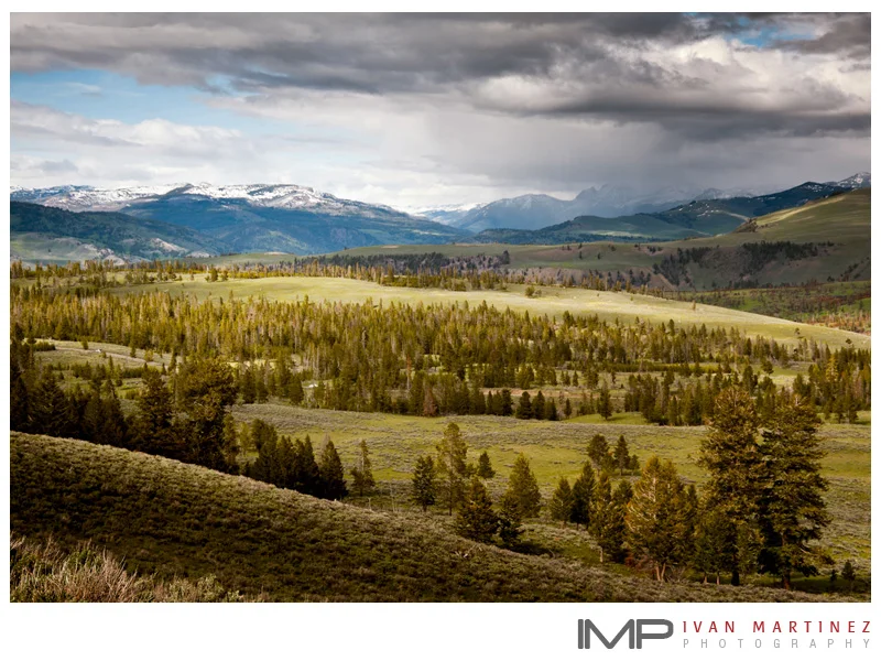 yellowstone_2011_4.jpg