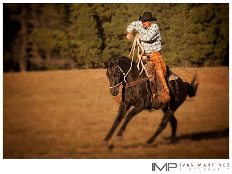 v_bar_v_ranch_horses_and _cowboys_5.jpg