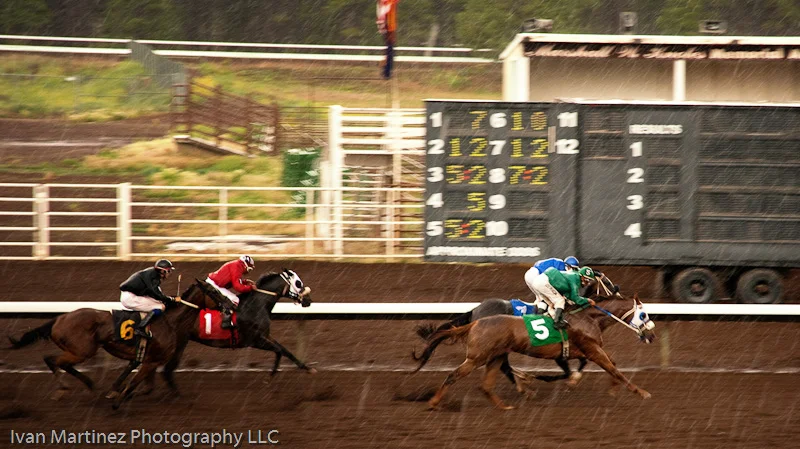Coconino_County_Horse_Races_2009_IMP-5.jpg