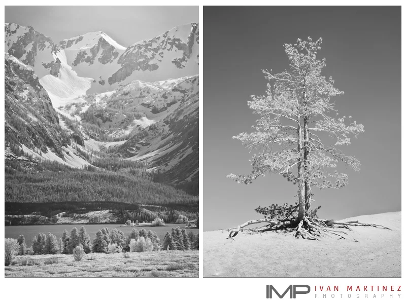 Tetons_in_IR_exposed_roots_at_Bryce_Jun2011.jpg