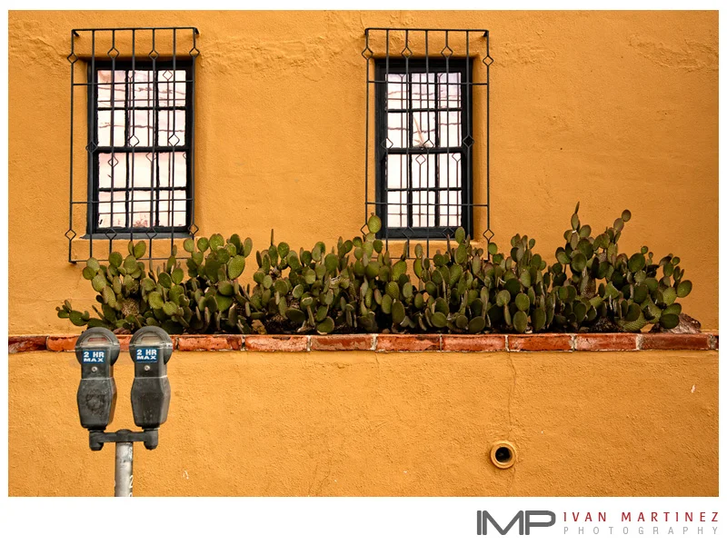 Tucson_Colors_Martinez_7.jpg