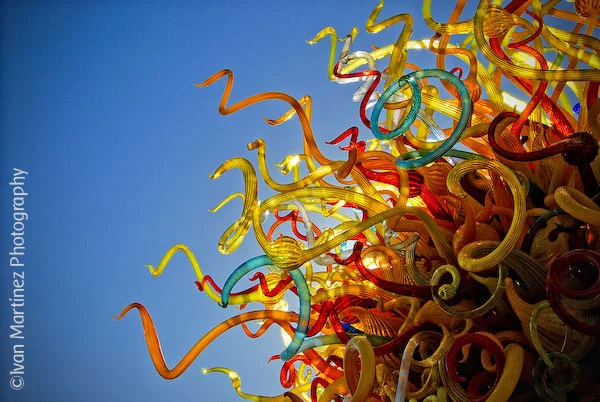 Chihuly_DBG_0409_d80_-8-Edit.jpg