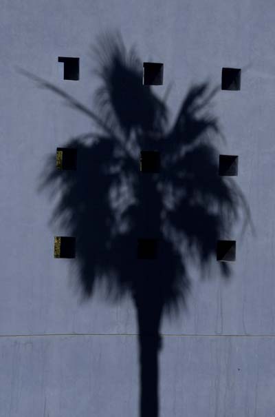 Mesa_Art_Ctr_palm.jpg