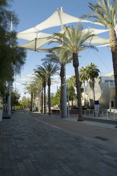 Mesa_Aart_Ctr_walk.jpg