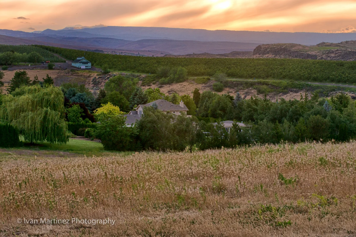DSC_9974-Edit.jpg