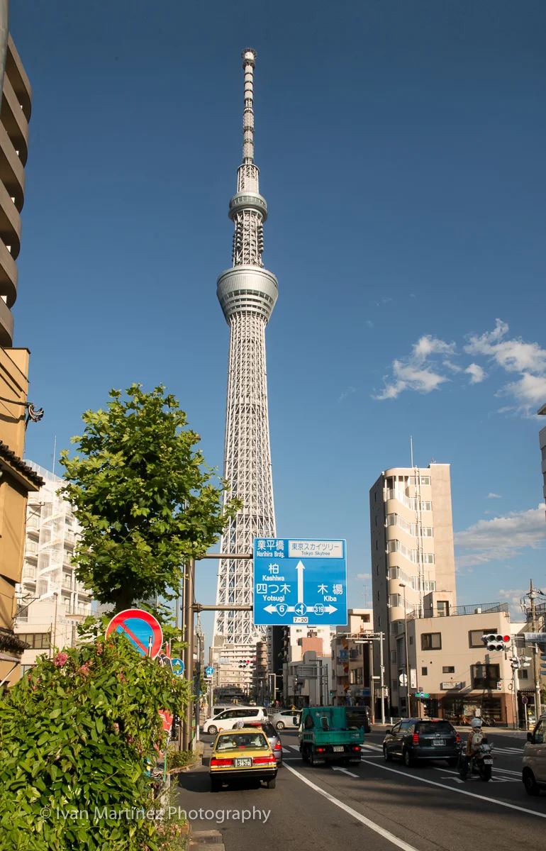 DSC_6015-Edit.jpg