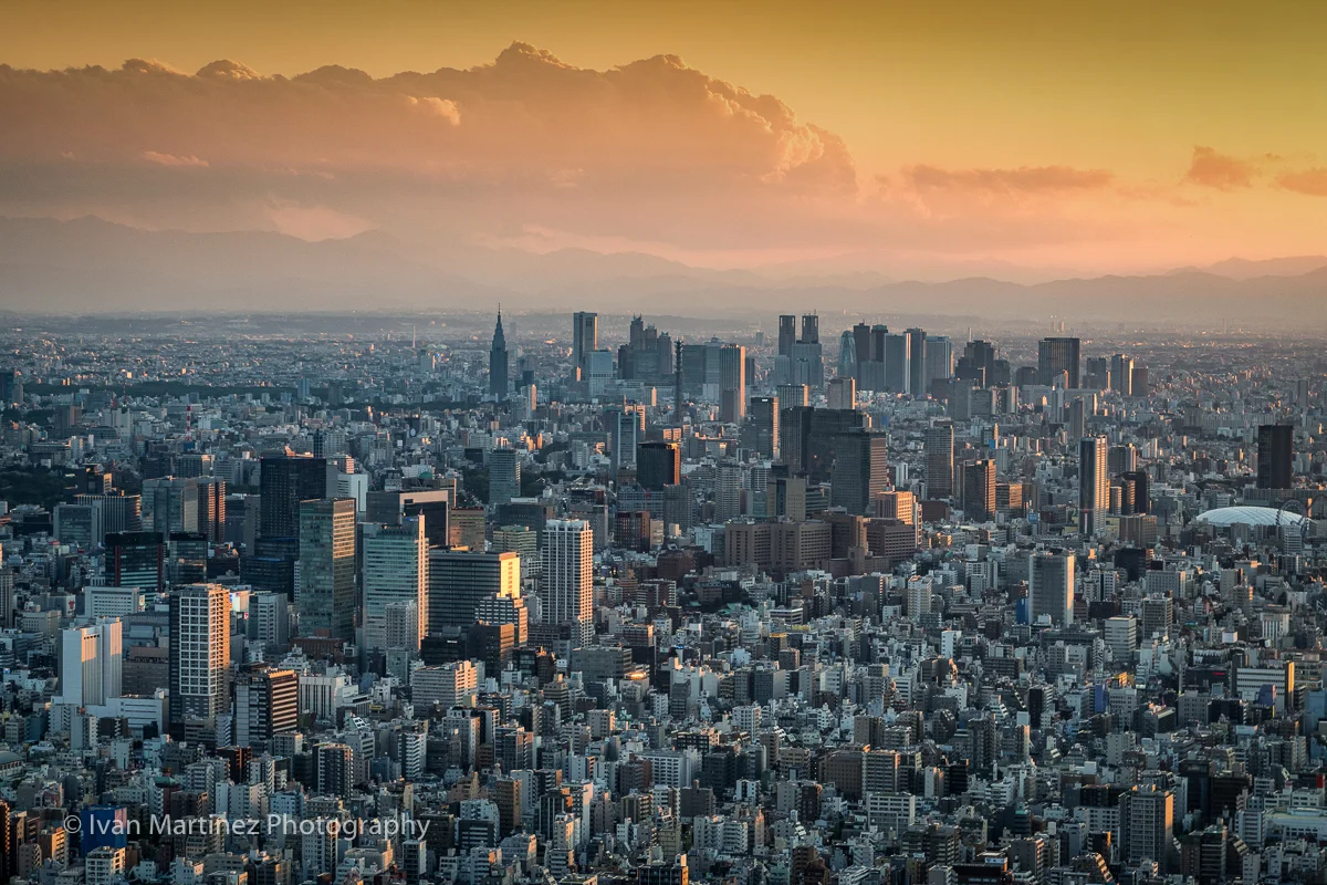DSC_6076-Edit.jpg