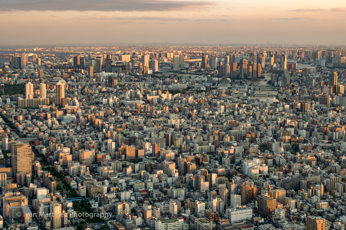 DSC_6065-Edit.jpg