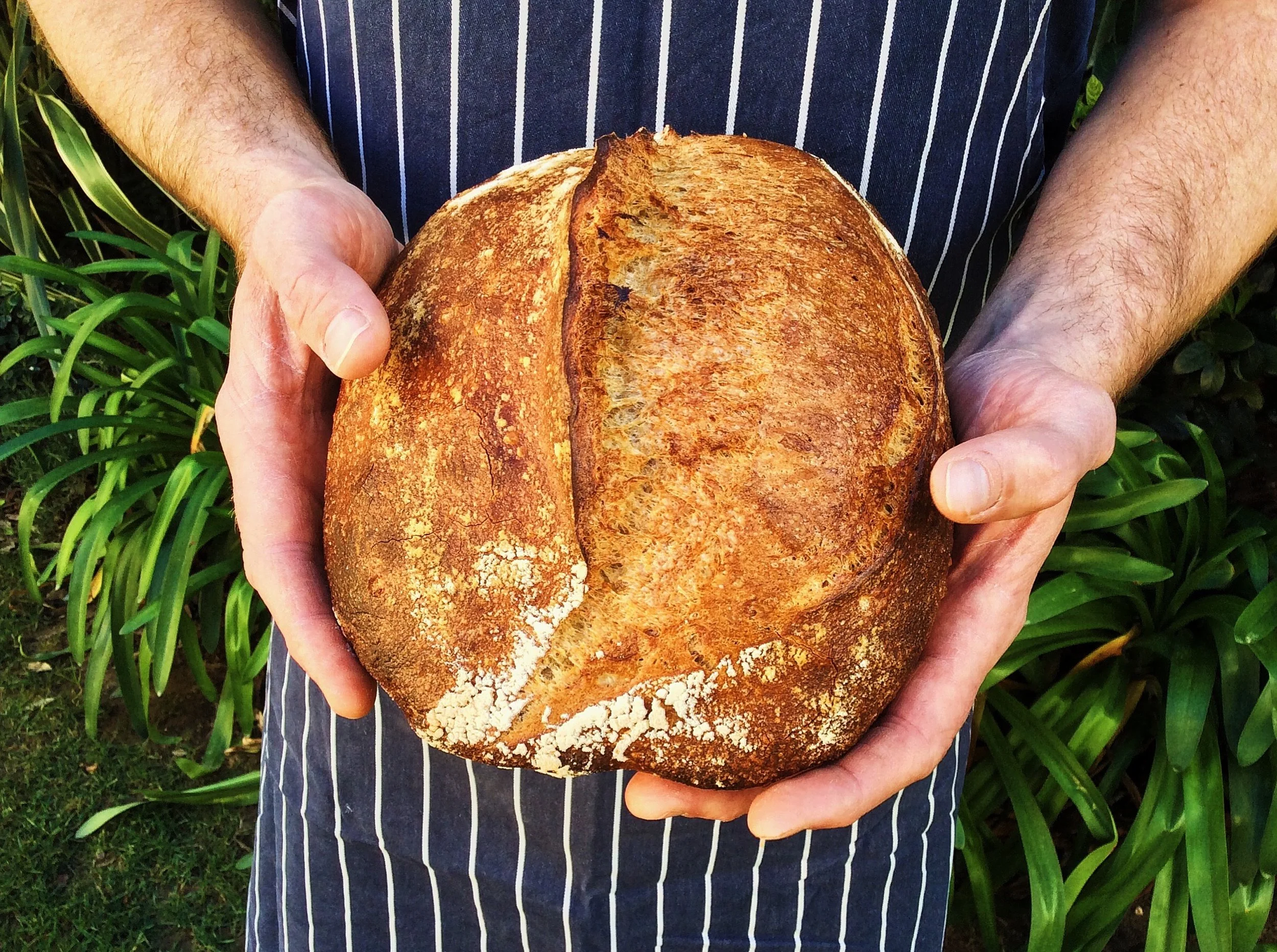 White and Rye Sourdough, March 1st 2017
