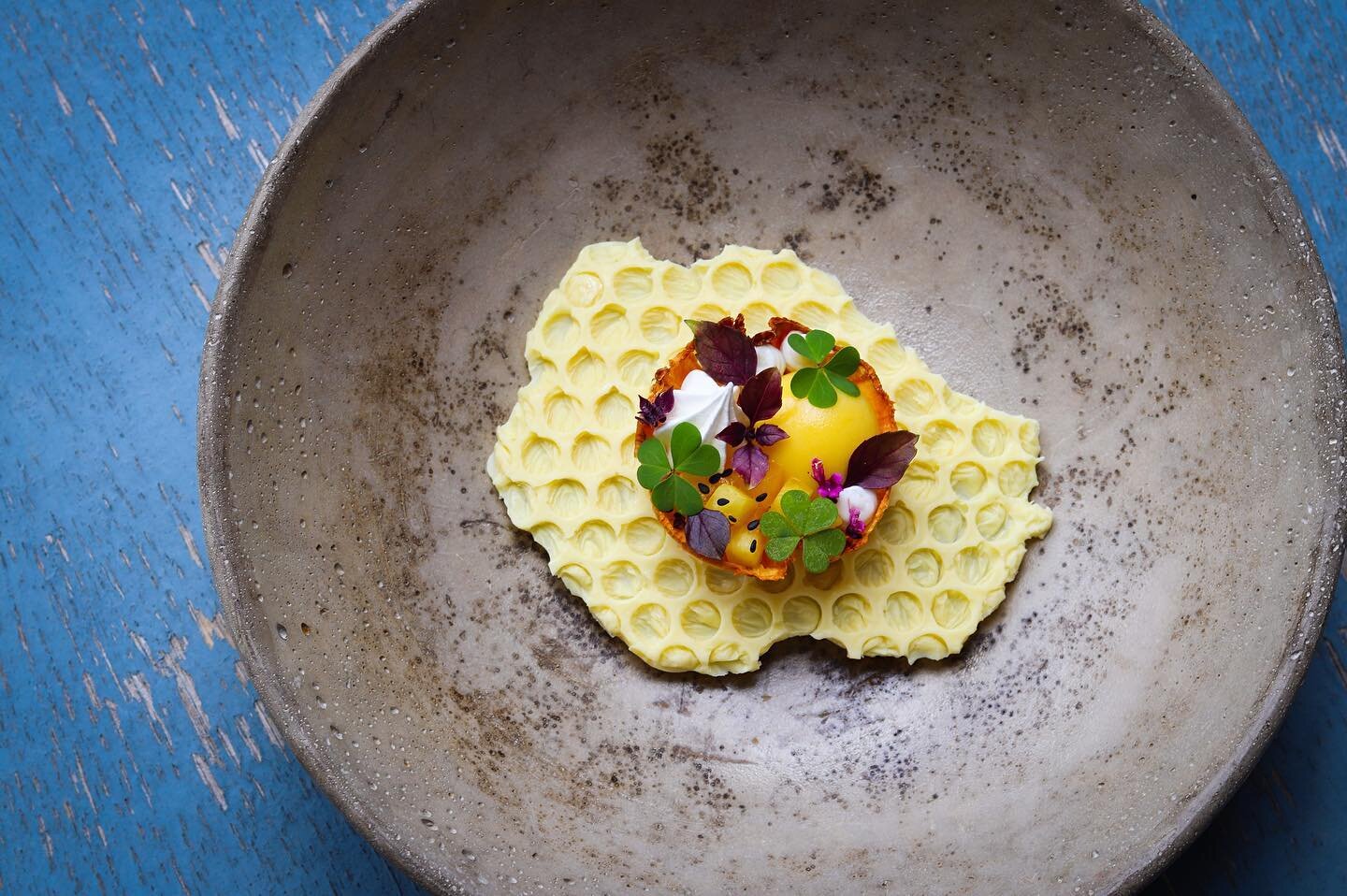 Playing in the kitchen... 
Mango, Pineapple, White Chocolate... 
Crisp pineapple wafer tart shell, mango pannacotta, diced pineapple, black sesame, coconut gel, white chocolate wafer, garden herbs 🌿 
-
-
-
#pineapple #pi&ntilde;a #mango #whitechocol