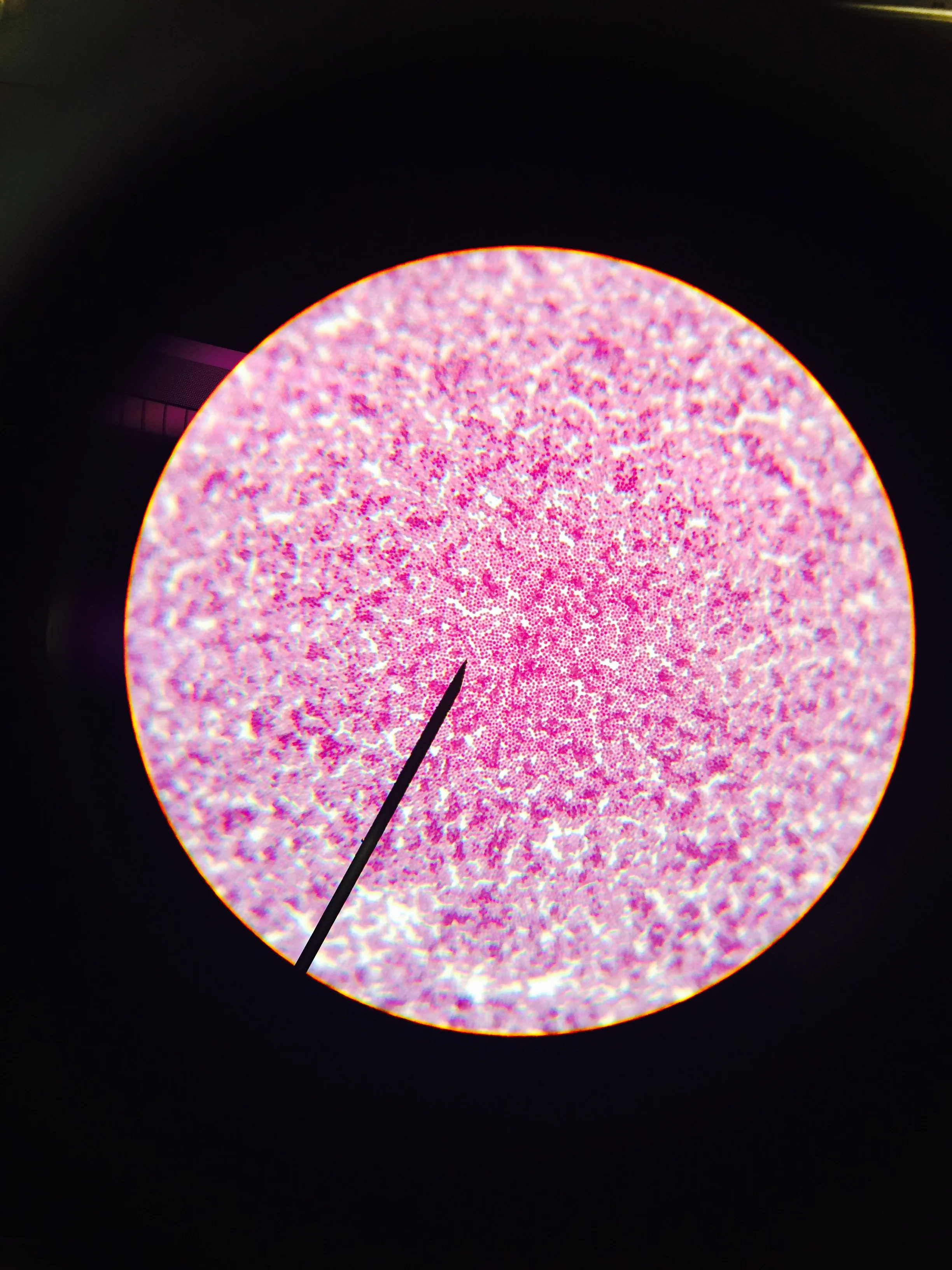 Scope3.jpg