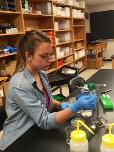 Chefs, Scientists, Tomato, Tomahto