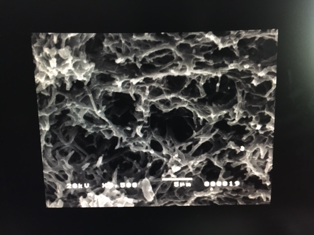 Sarah's SEM