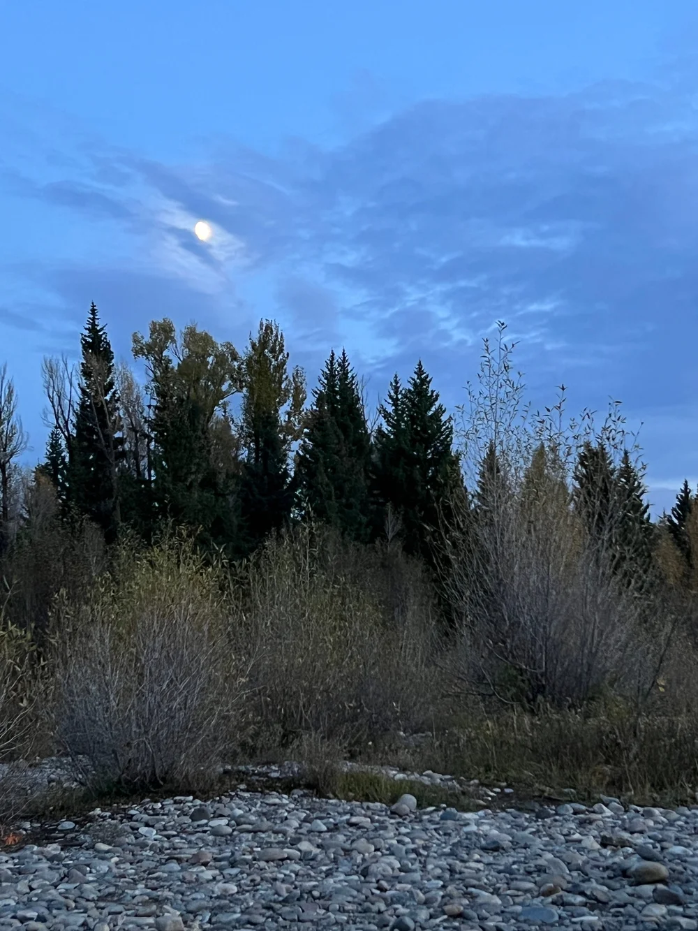  One evening we went out to get last minute beaver footage for the film. It was so calm (and a little bit scary). 