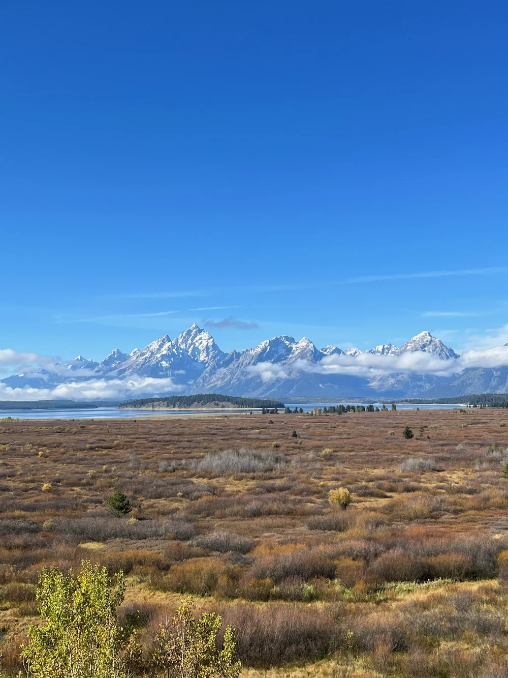 Tetons view from Jackson Lake Lodge.jpeg