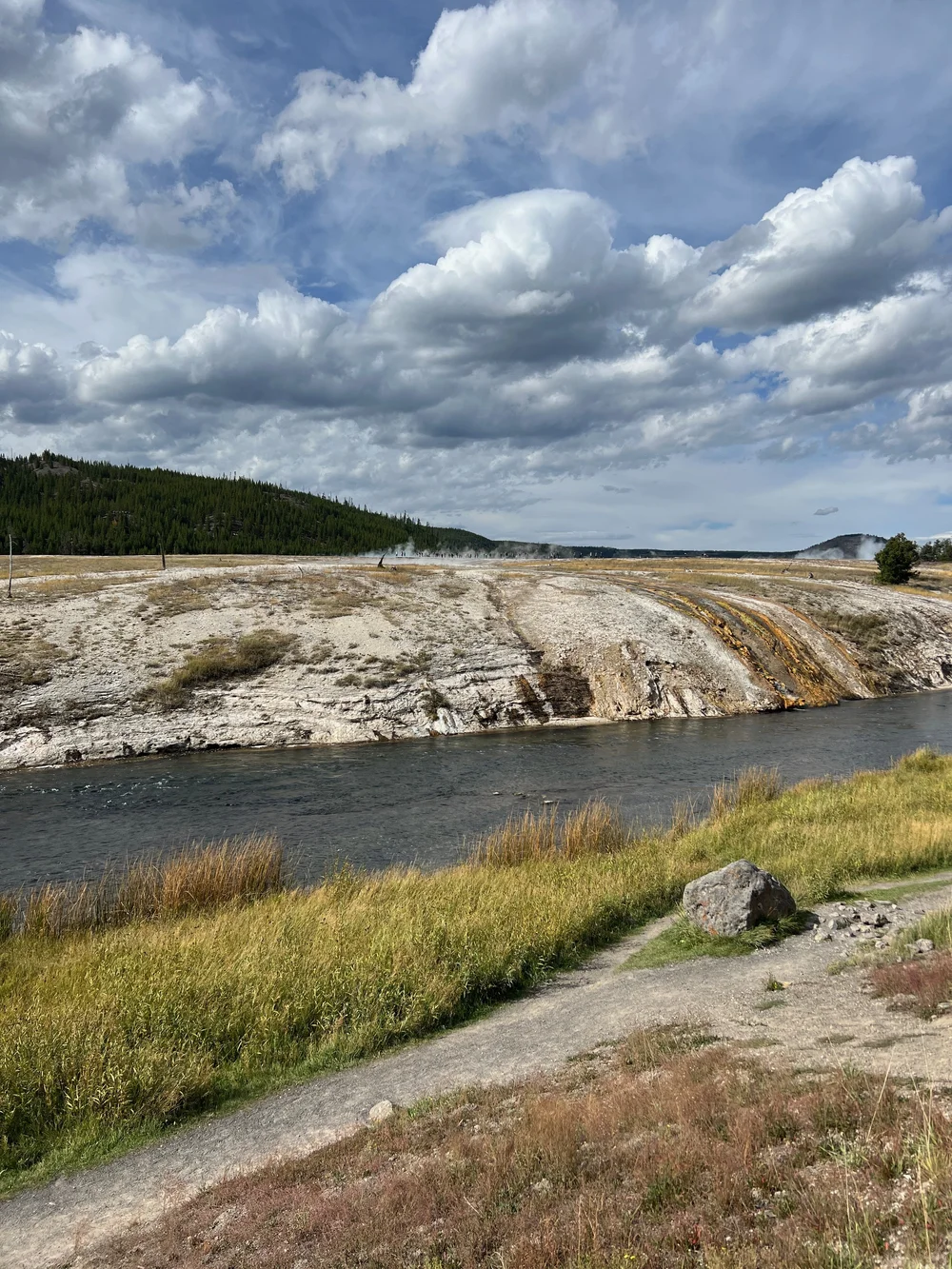 Geysers and Springs at Yellowstone.jpeg