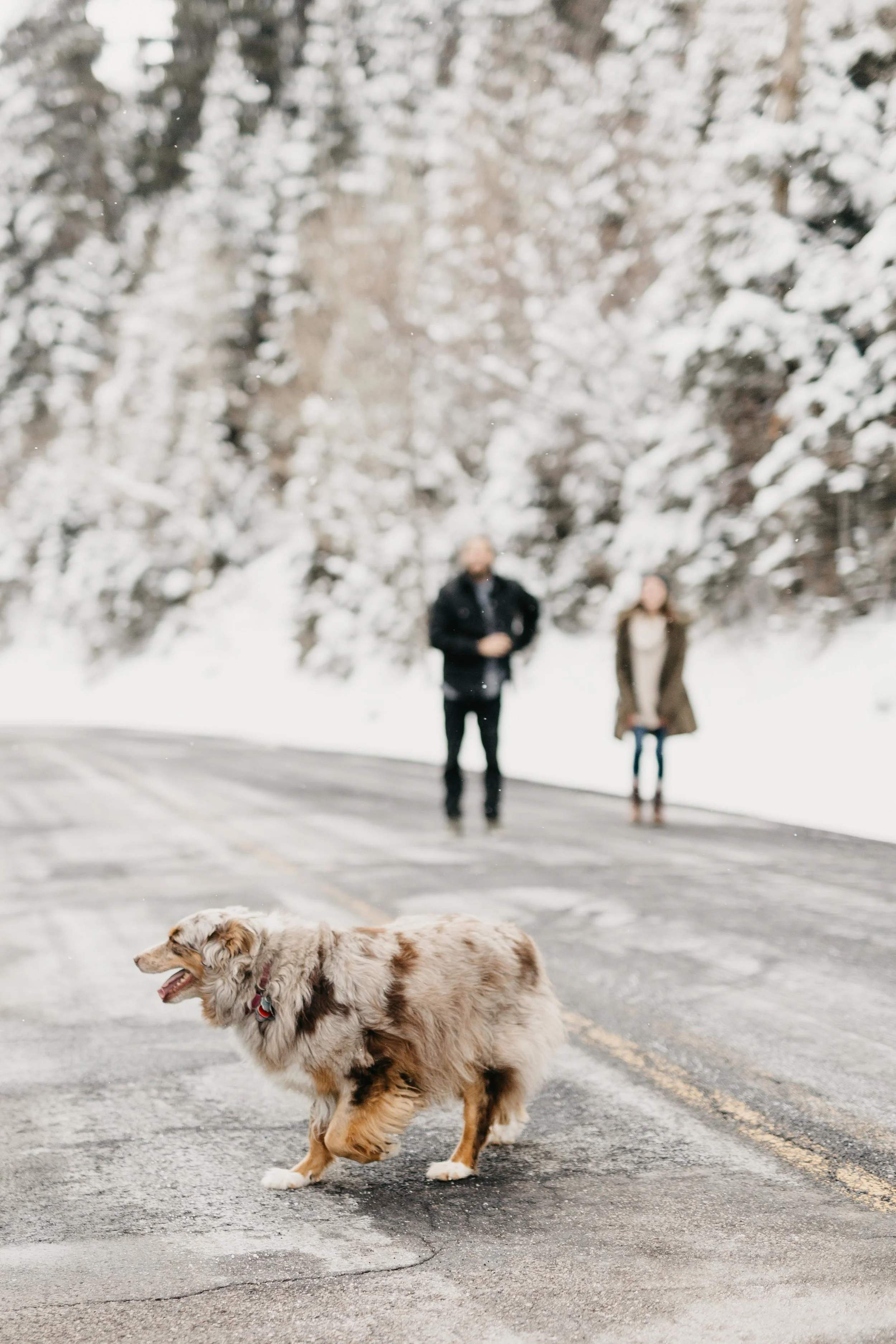 Utah-Wedding-Photographer-3.jpg