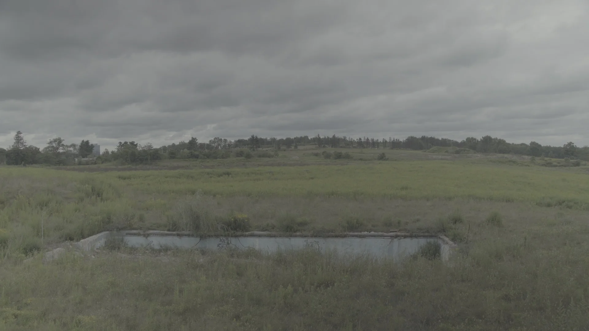 Still from video for Sacha Yanow: Cherie Dre