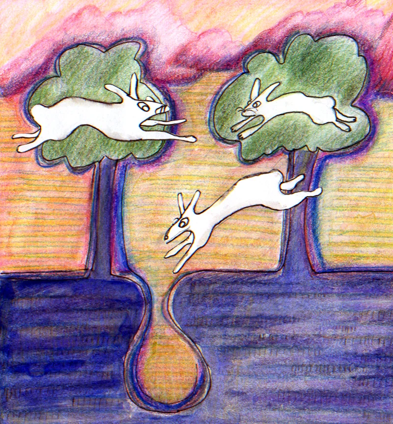 Down The Rabbit Hole