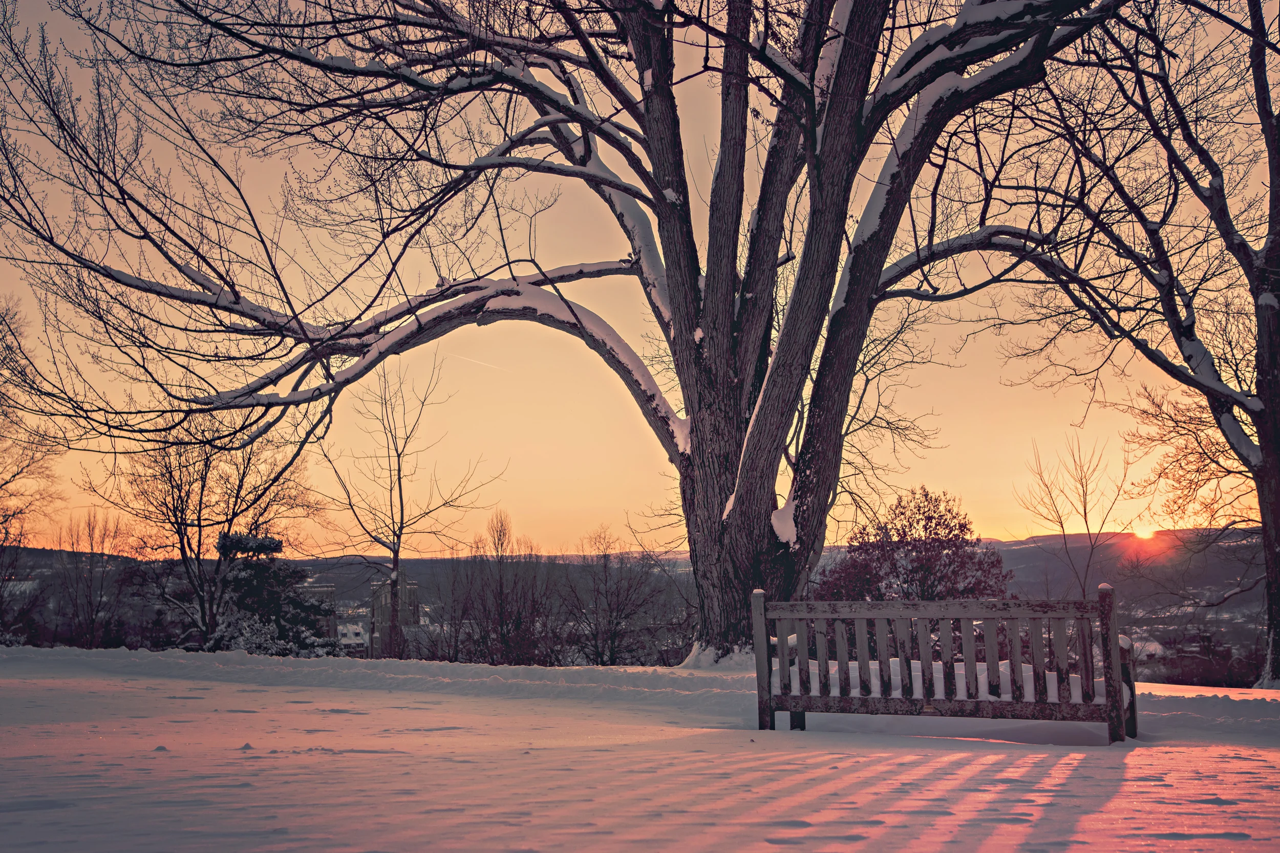 winter pic dnld.jpg