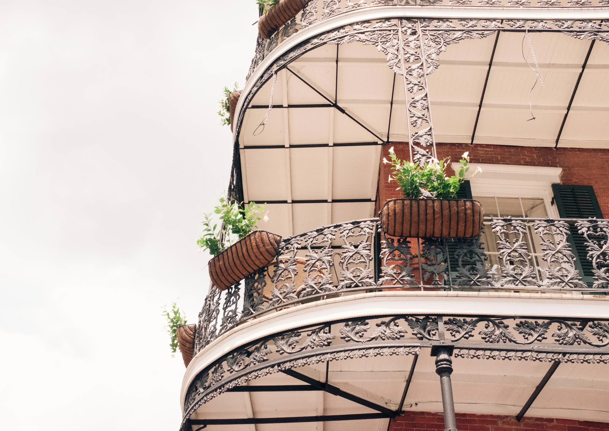 New Orleans in Photos