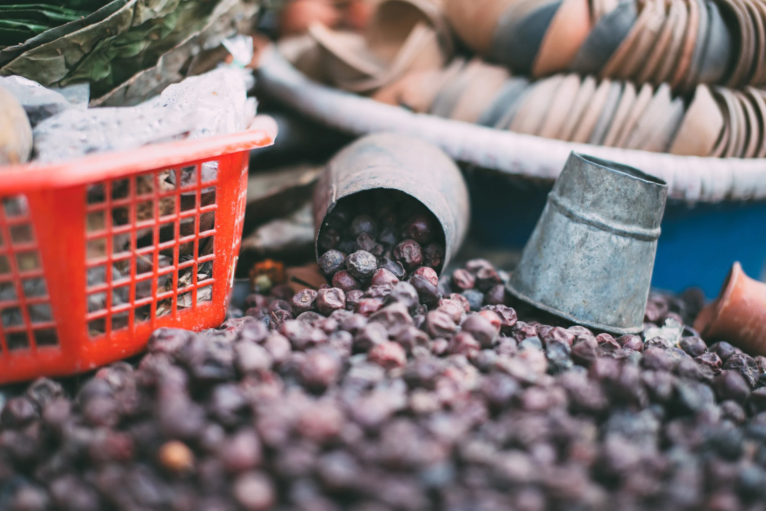 Outreach 2016-187.jpg