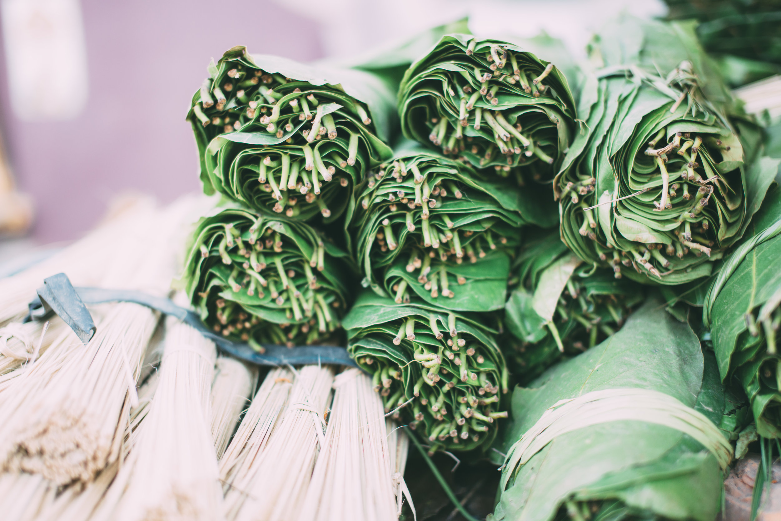 Outreach 2016-188.jpg