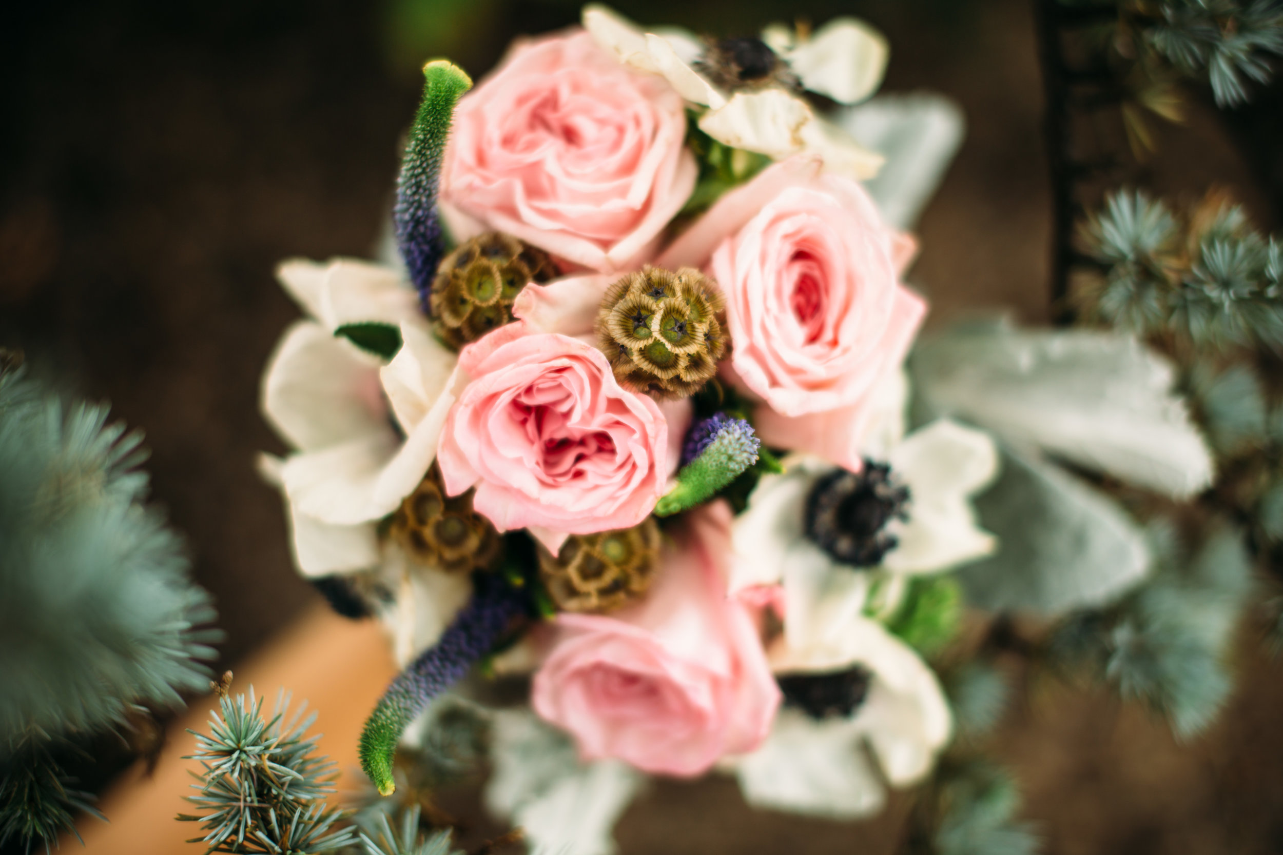 Annie and Luke-31.jpg