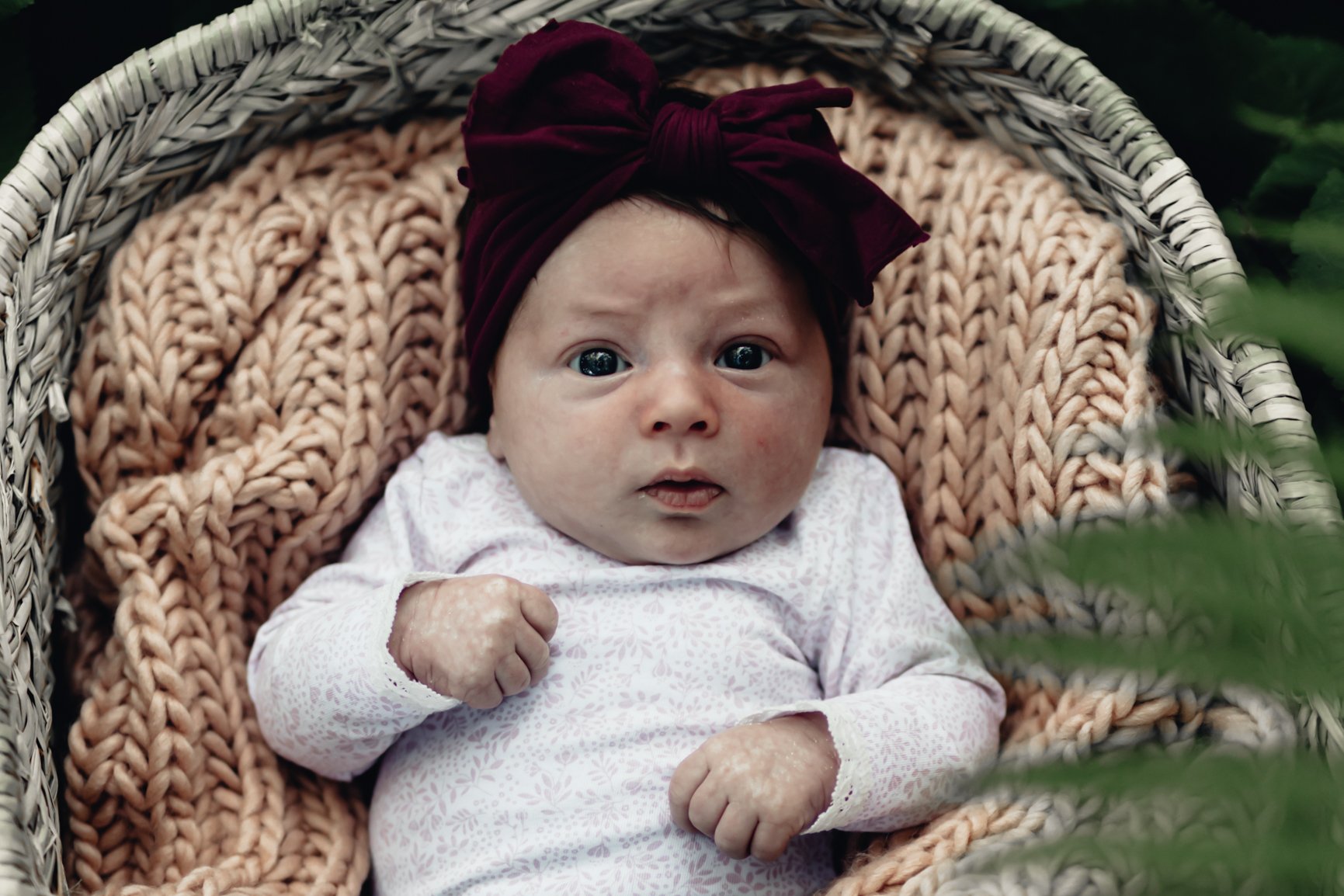 Reverence_Newborn21-4.jpg