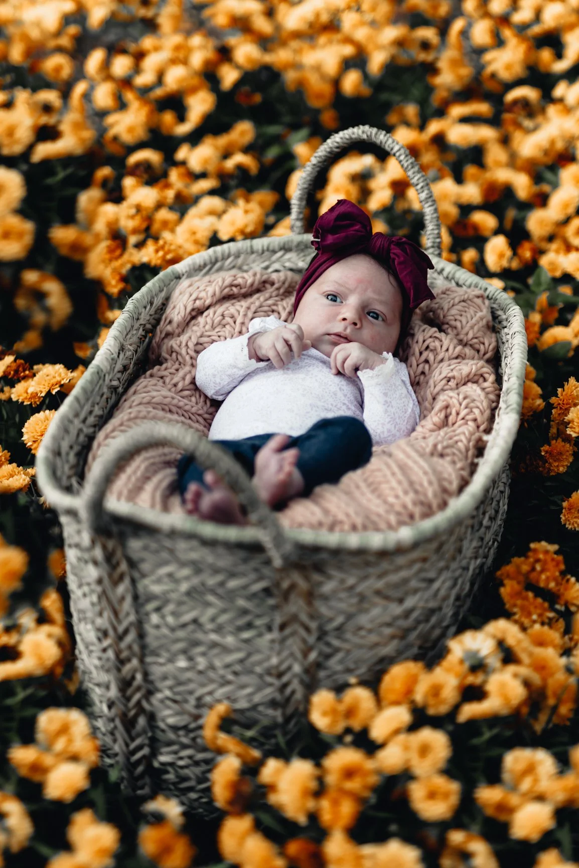 Reverence_Newborn21-34.jpg
