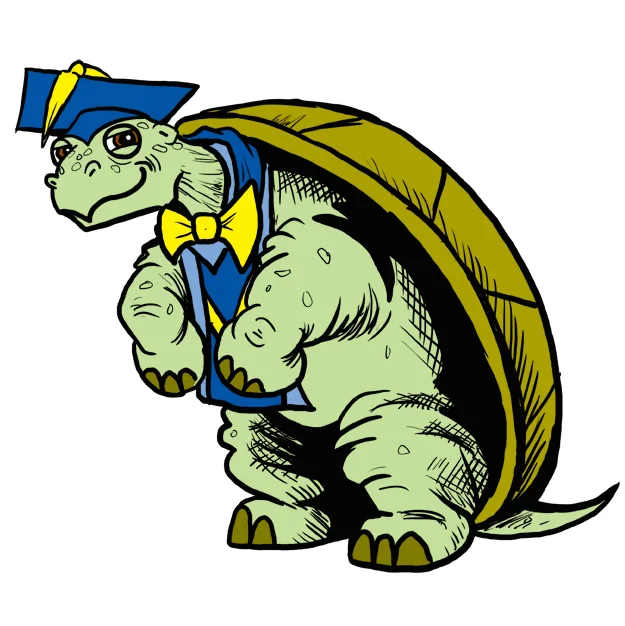 turtlesnaps cropped.jpeg