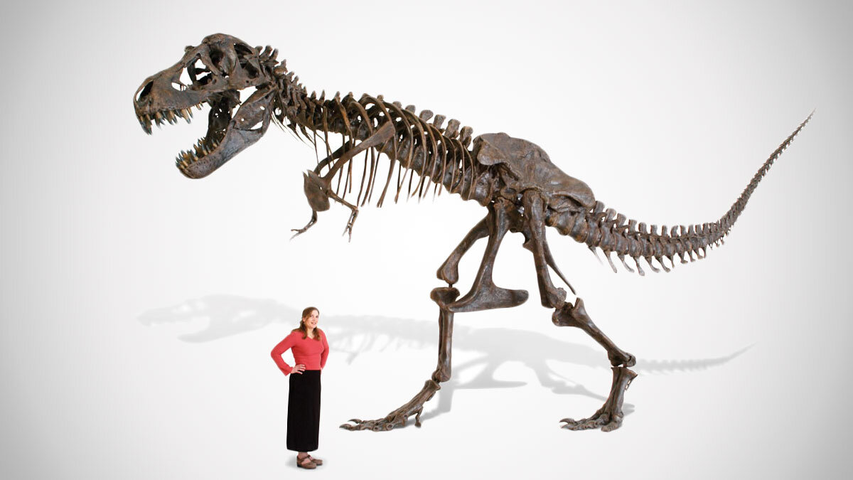 life-size-t-rex-skeleton-39885.jpg