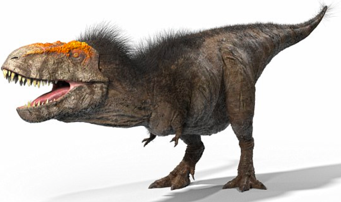 Documentary-reveals-what-the-Tyrannosaurus-Rex-really-looked-like.png