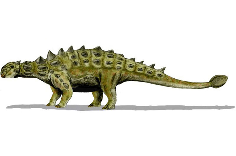 ankylosaurus.jpg