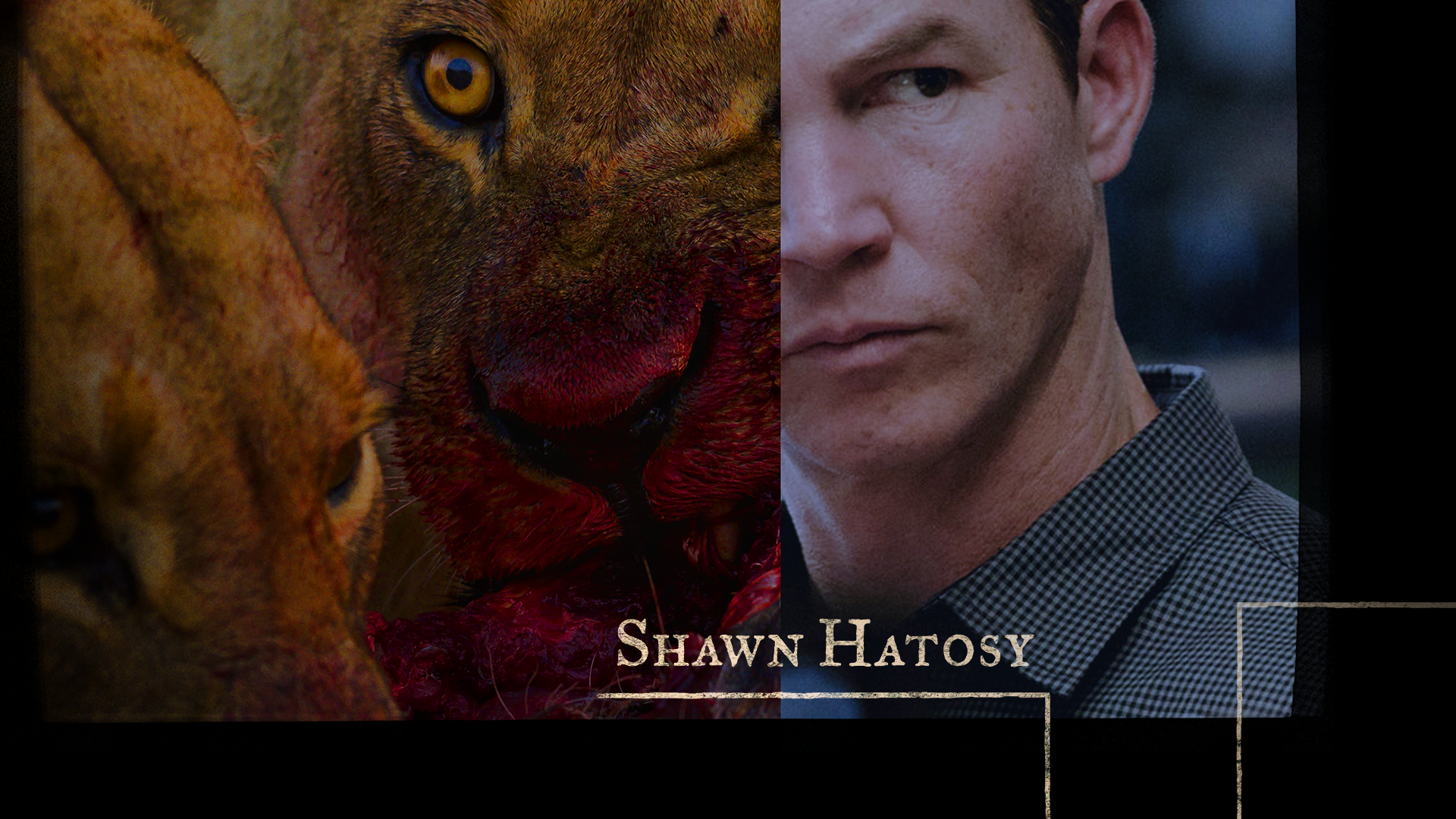 03_Pope_ShawnHatosy.png