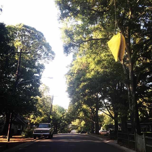 #yield #softsigns #sculpture #tacticalurbanism #trafficcalming #yardartday #yardartday2016