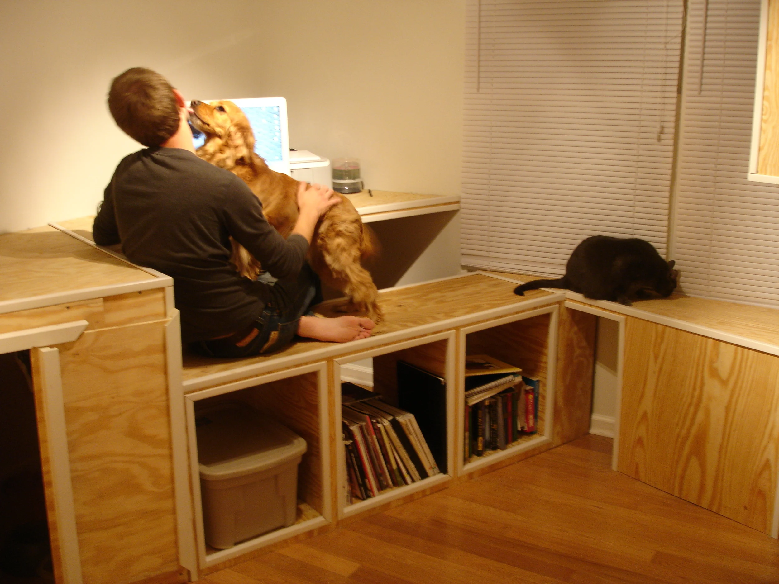 ProjectN.O.A.H.2.jpg