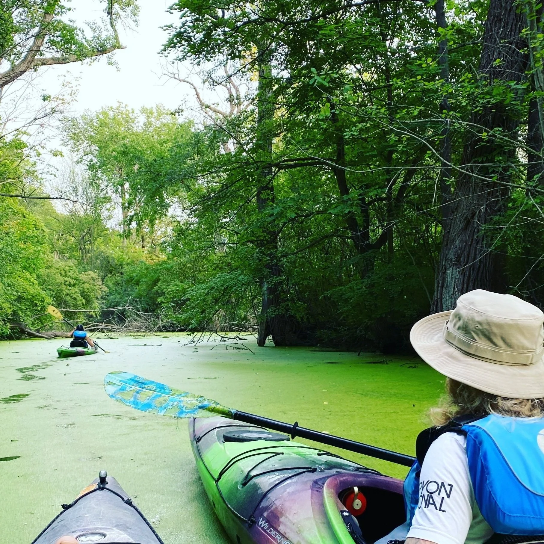 Kayak Tours — Detroit River Sports