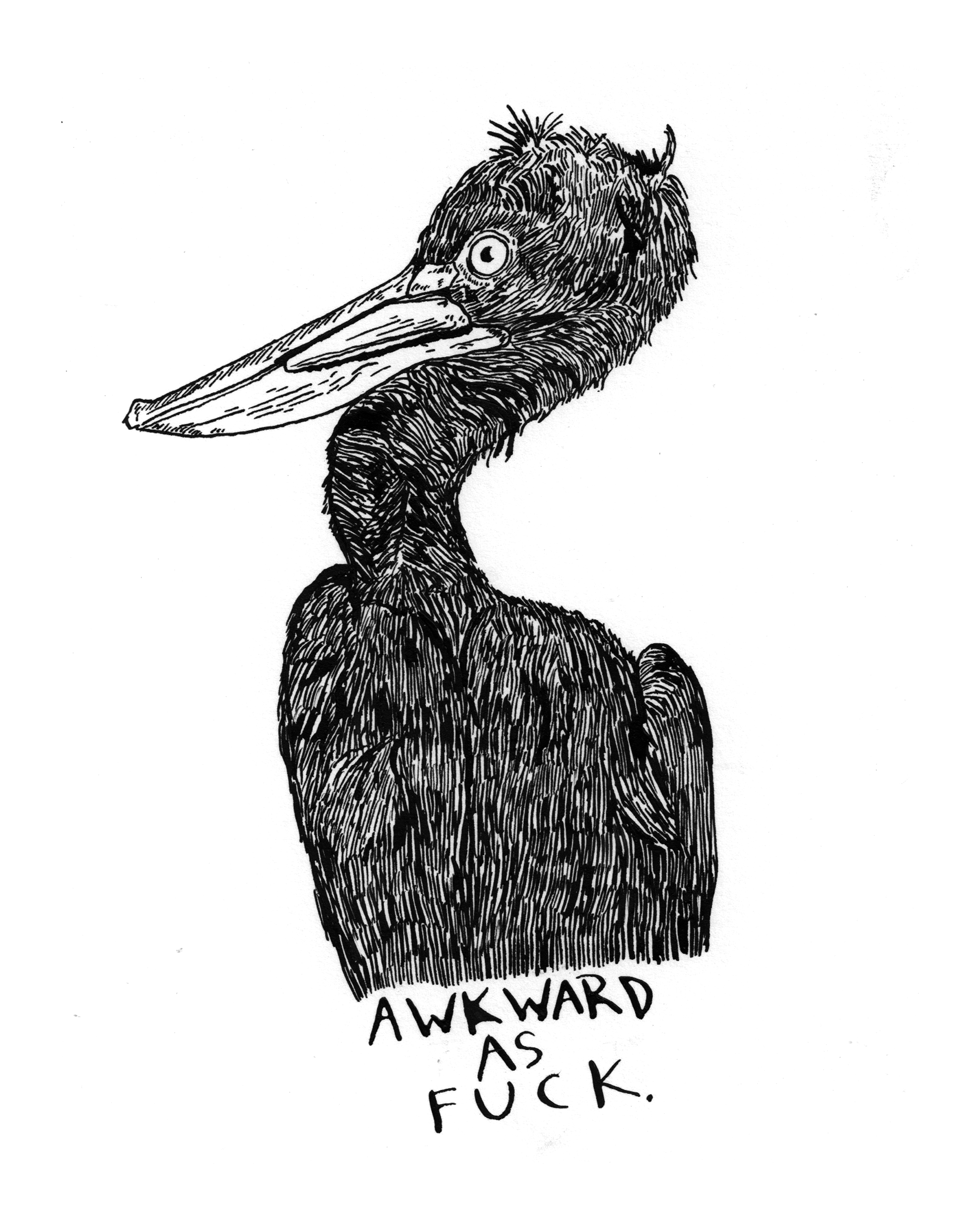 Awkward8x10.jpg