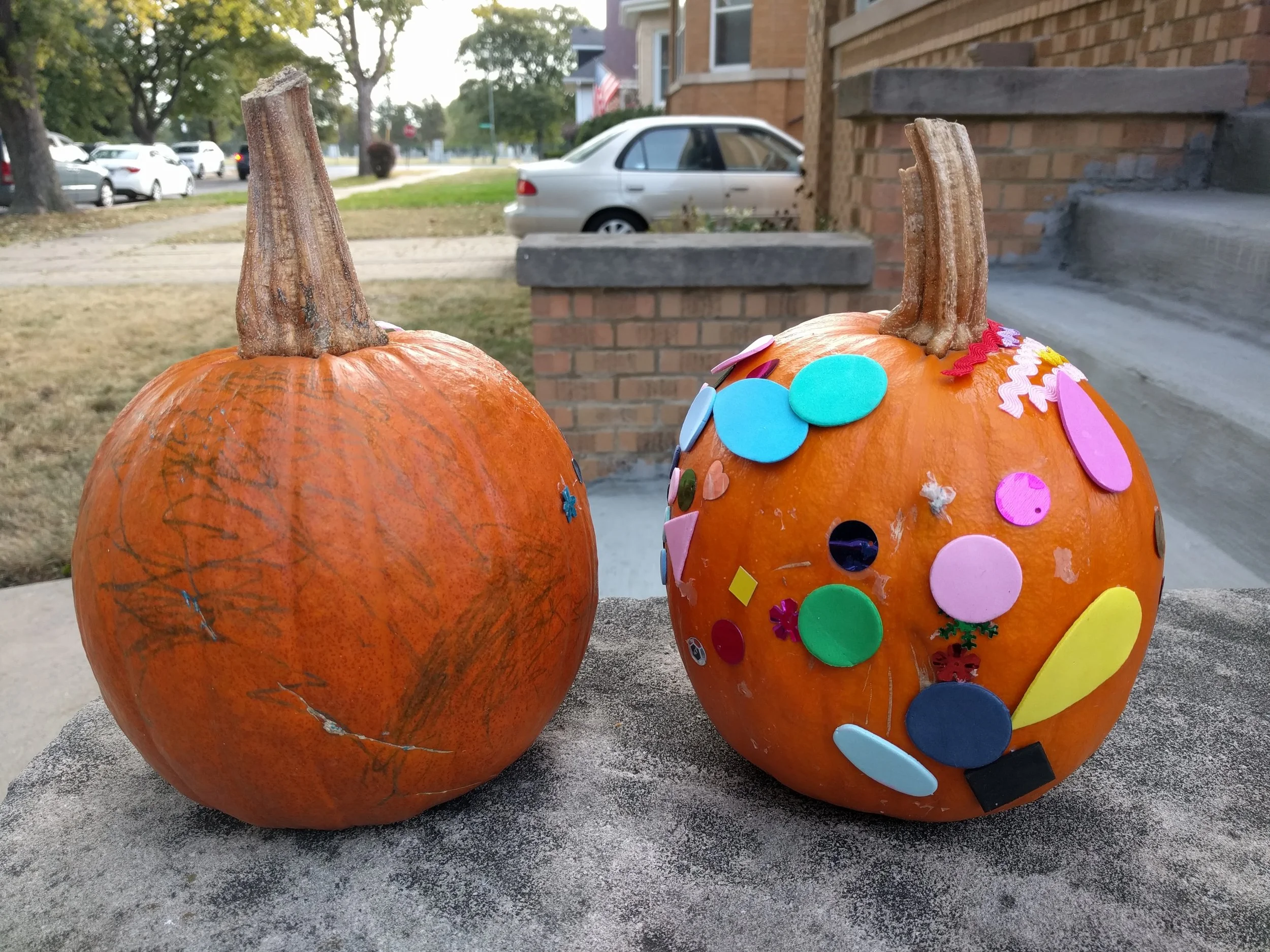 IMG_20171001_093813.jpg