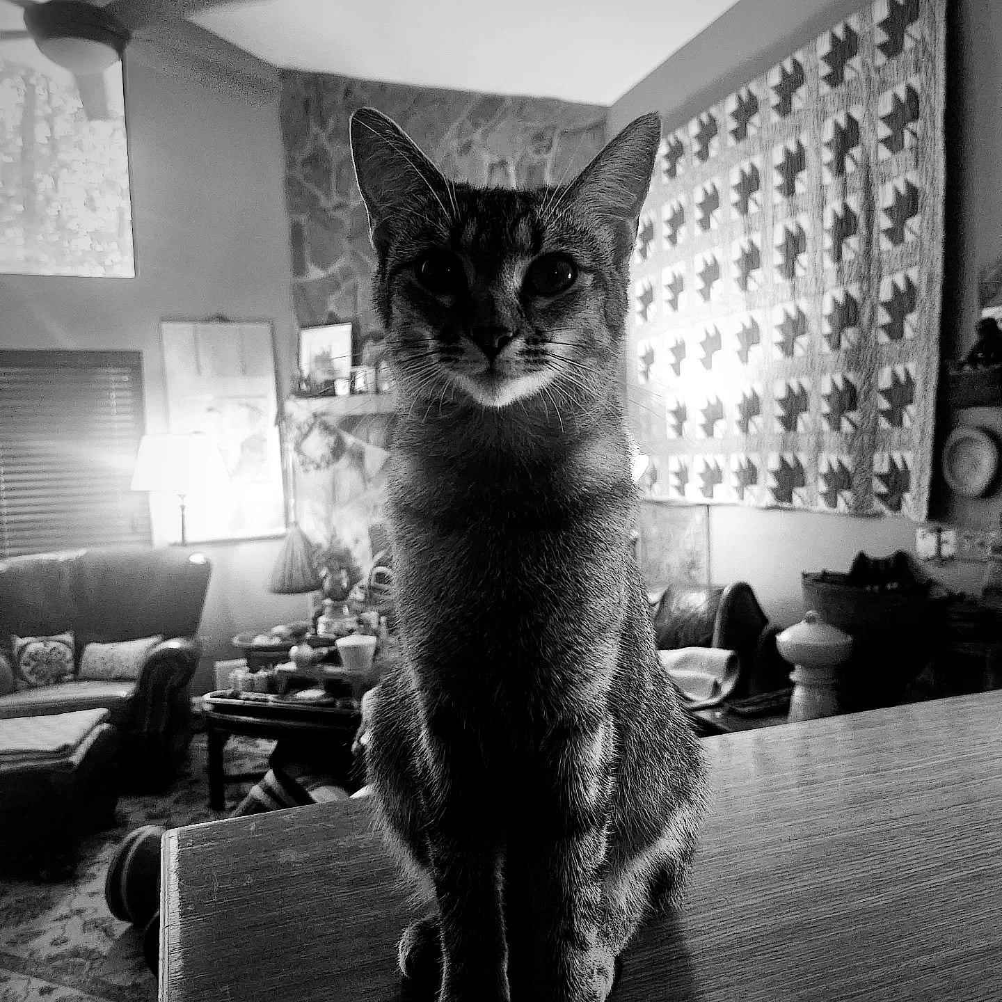 Fiona