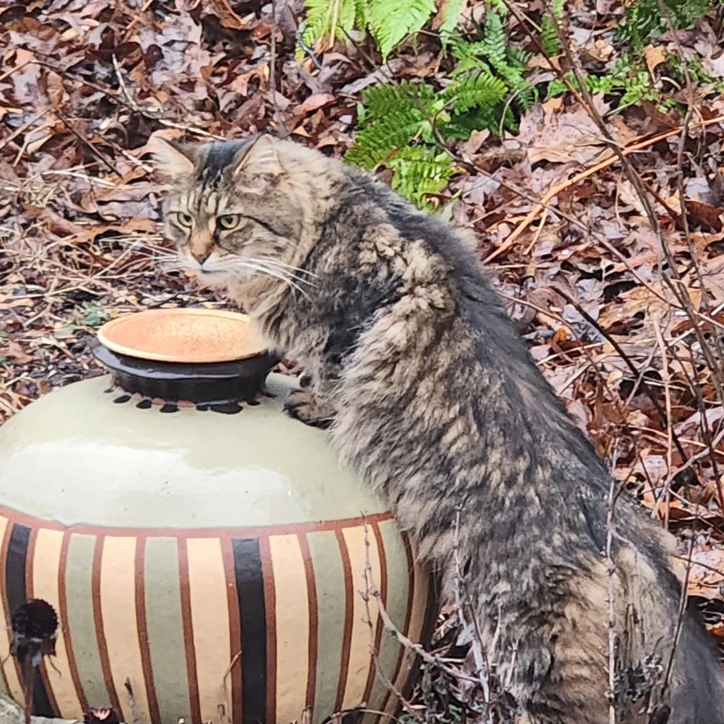 Beautiful Vivian feeling good.