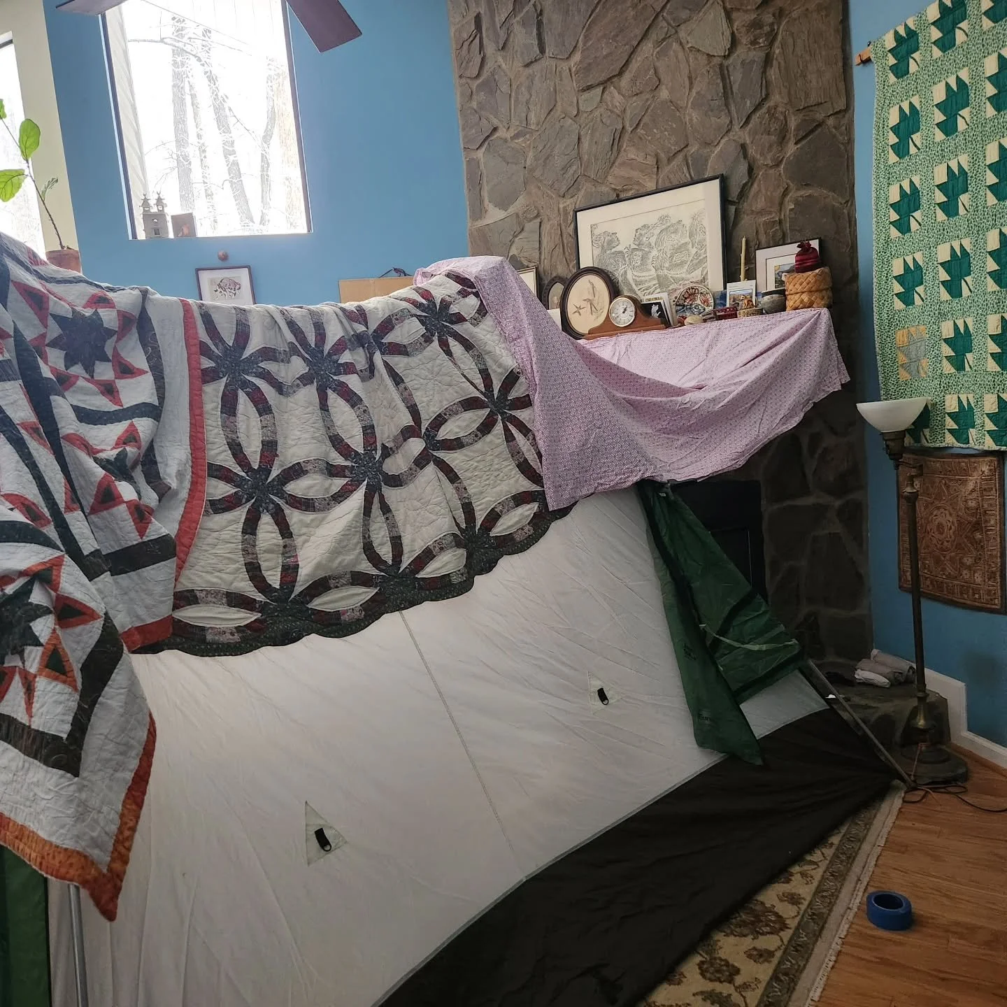 On fourth day with no power. We are in a tent in the living room. The cats are enjoying it!