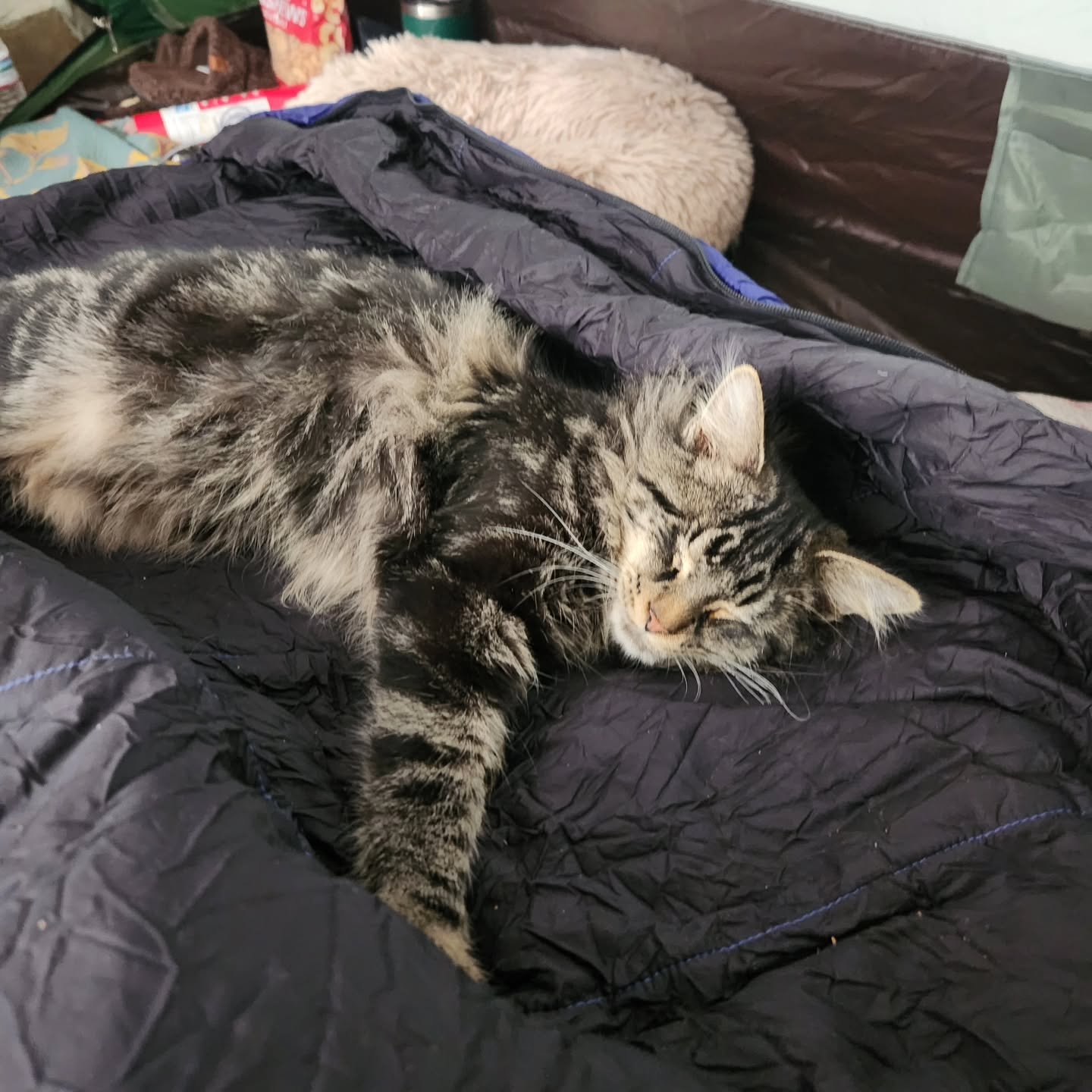 Some family members  love tent life!