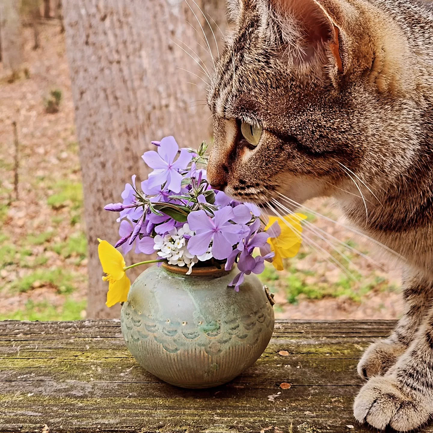 Loaded little jarlet and Fiona!