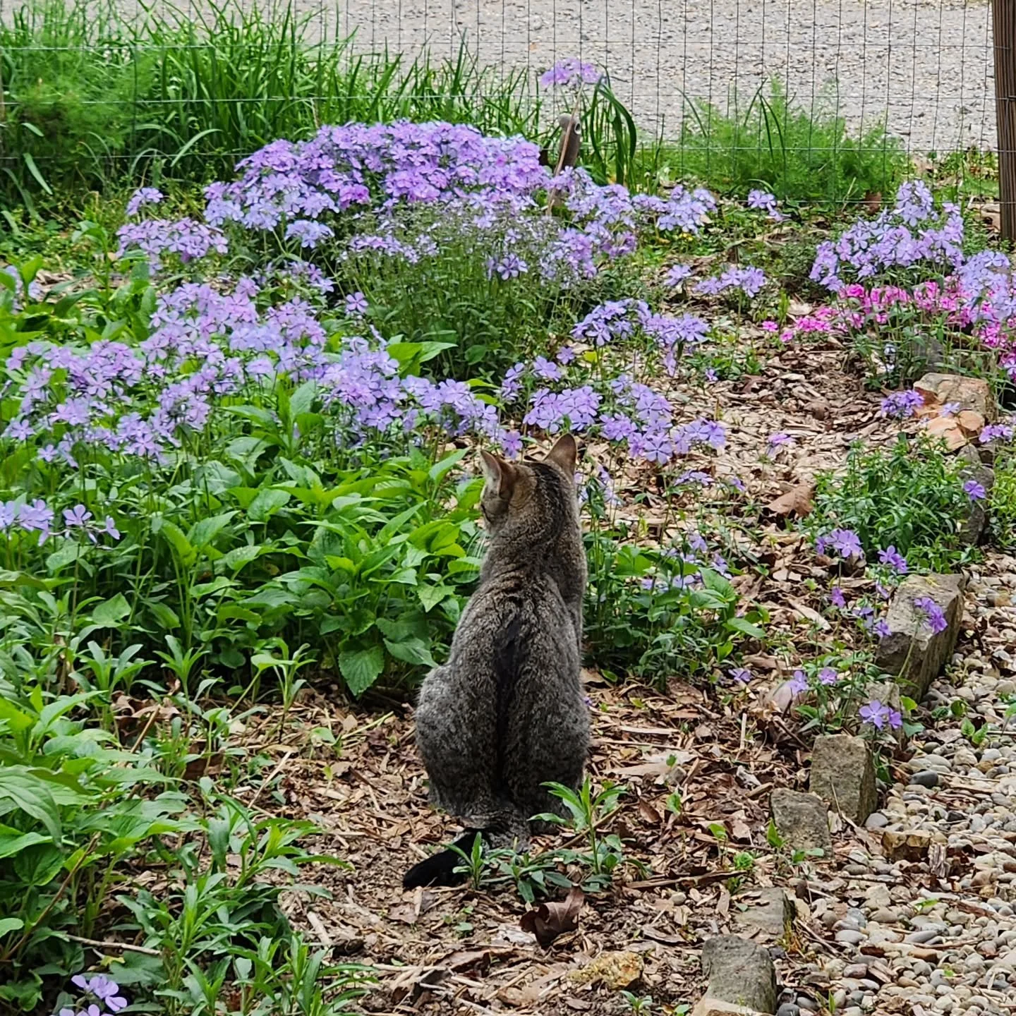 Fiona,  favorite gardening friend.