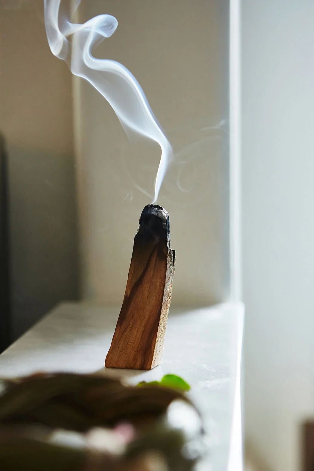 Sage, Copal, Cedar and More: A Guide to Herbs Traditionally Used for Smudging and Spiritual Cleansing