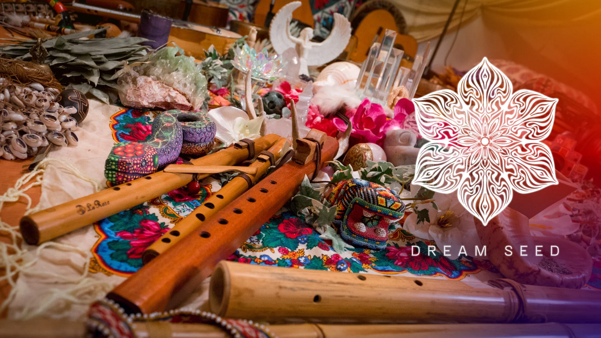 Dream Seed: Unity in Diversity [Video Broadcast] Featuring Special Guest Tommy Harevis (Poland)